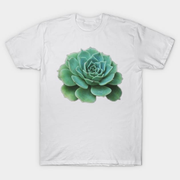 Cute Succulent T-Shirt by MysticTimeline